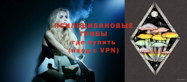 ECSTASY Алзамай