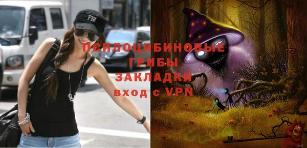 ECSTASY Алзамай