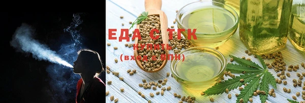 ECSTASY Алзамай