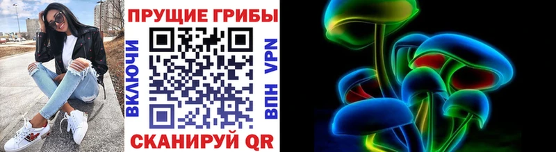цены   Дно  мориарти Telegram  Галлюциногенные грибы Cubensis 