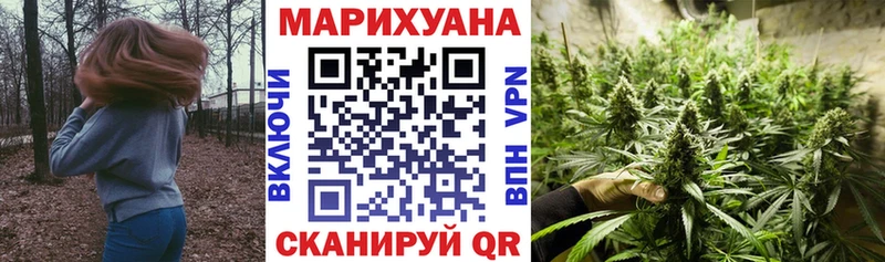 Марихуана сатива Дно